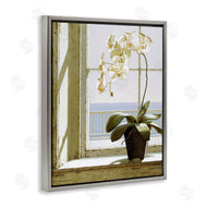Zhen-Huan Lu | White Orchid on Window Sill