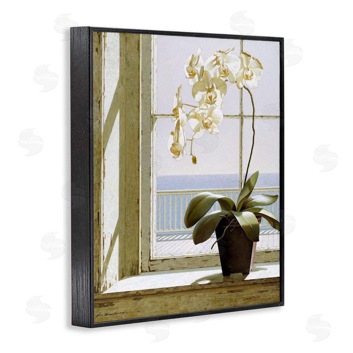 White Orchid on Window Sill Black Frame Print Wall Art, Home Decor by Zhen-Huan Lu