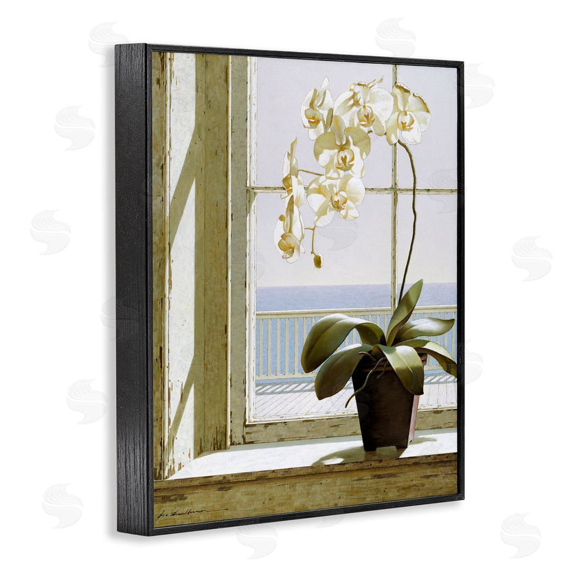 Zhen-Huan Lu | White Orchid on Window Sill