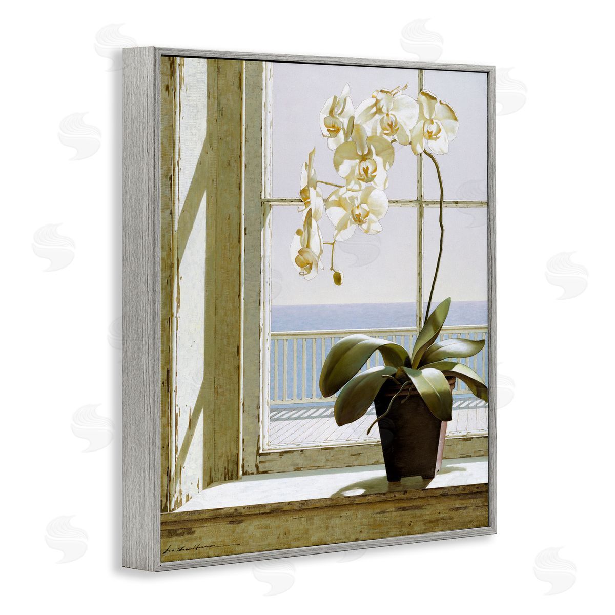 White Orchid on Window Sill Grey Frame Print Wall Art, Home Decor by Zhen-Huan Lu