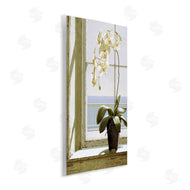 Zhen-Huan Lu | White Orchid on Window Sill