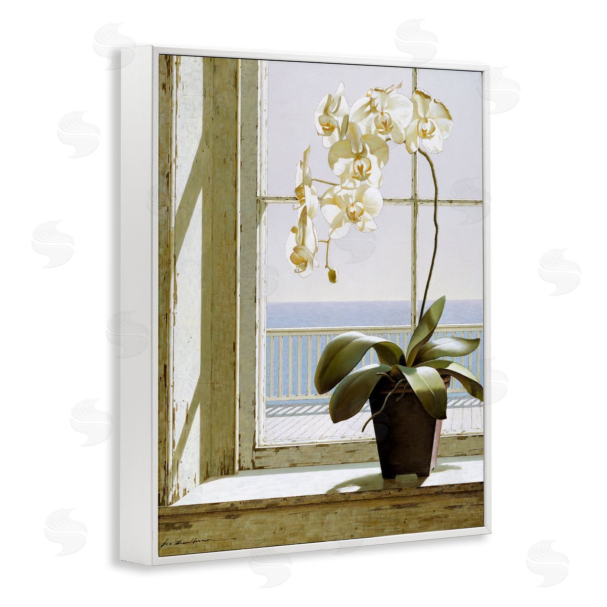 White Orchid on Window Sill White Frame Print Wall Art, Home Decor by Zhen-Huan Lu
