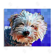 Kim Curinga | Bichon Puppy Blue Pattern