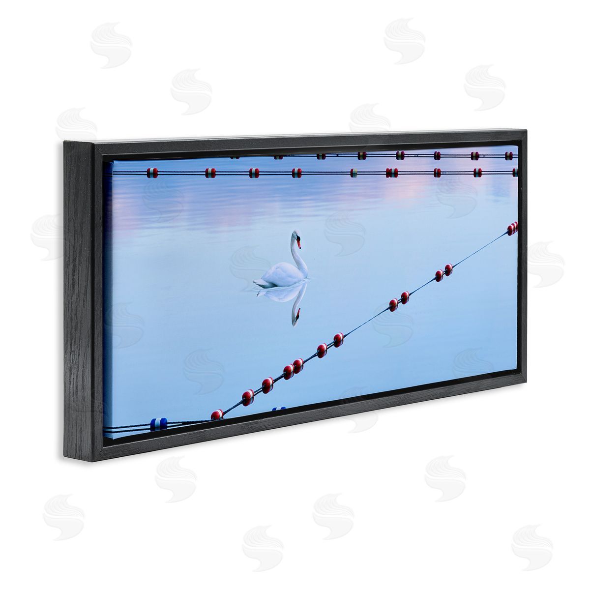 Swan Between Lake Buoys Black Floating Frame Canvas Wall Art, Home Decor by James McLoughlin