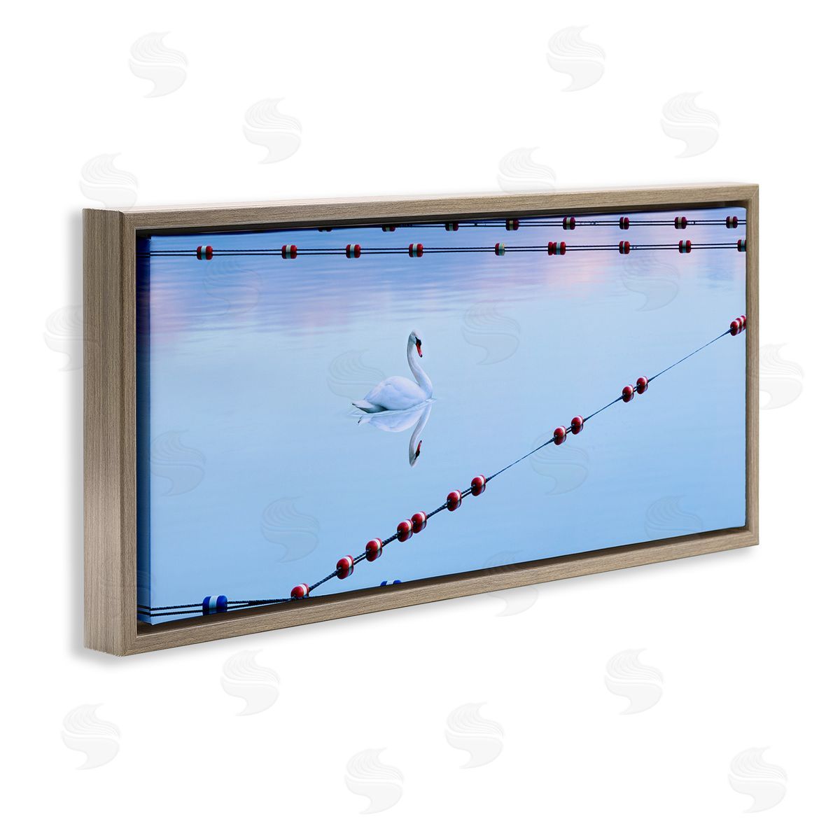 Swan Between Lake Buoys Brown Floating Frame Canvas Wall Art, Home Decor by James McLoughlin