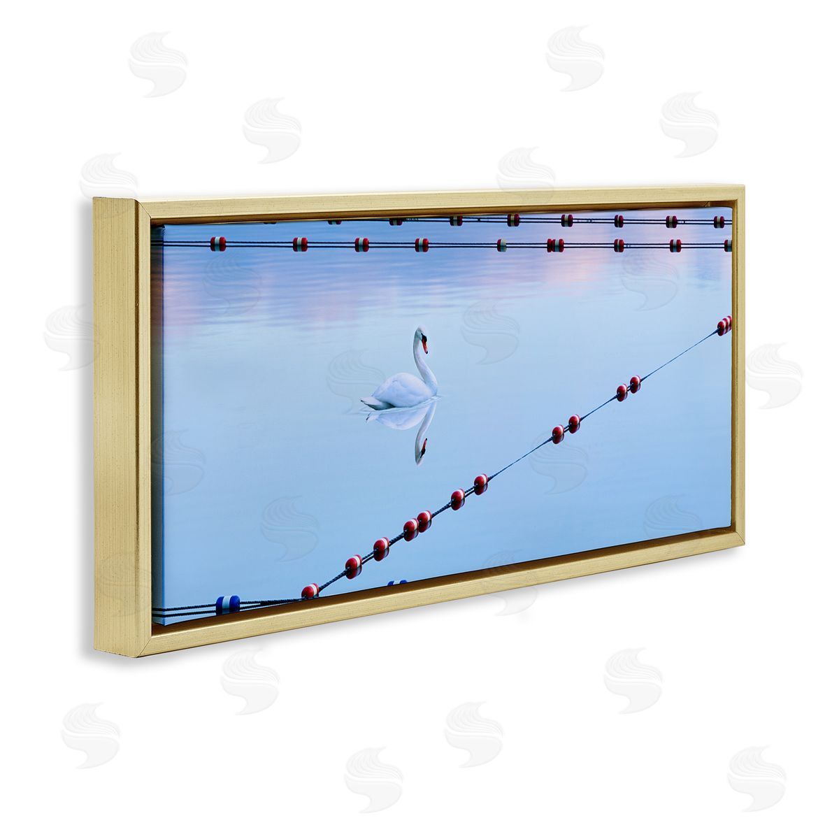 Swan Between Lake Buoys Gold Floating Frame Canvas Wall Art, Home Decor by James McLoughlin