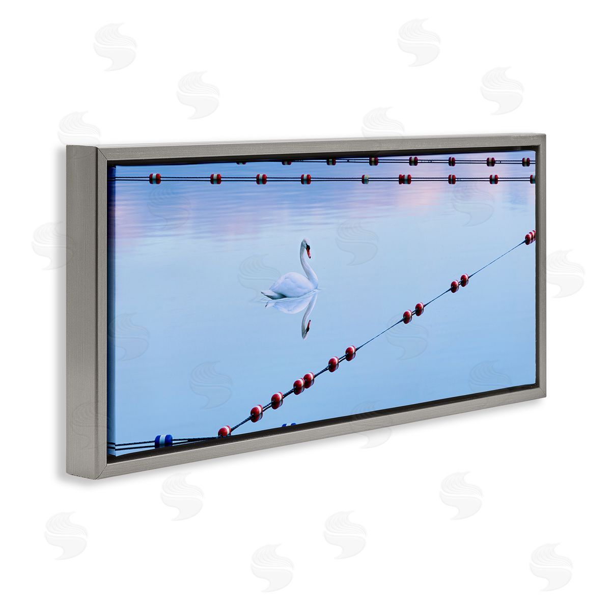 Swan Between Lake Buoys Grey Floating Frame Canvas Wall Art, Home Decor by James McLoughlin