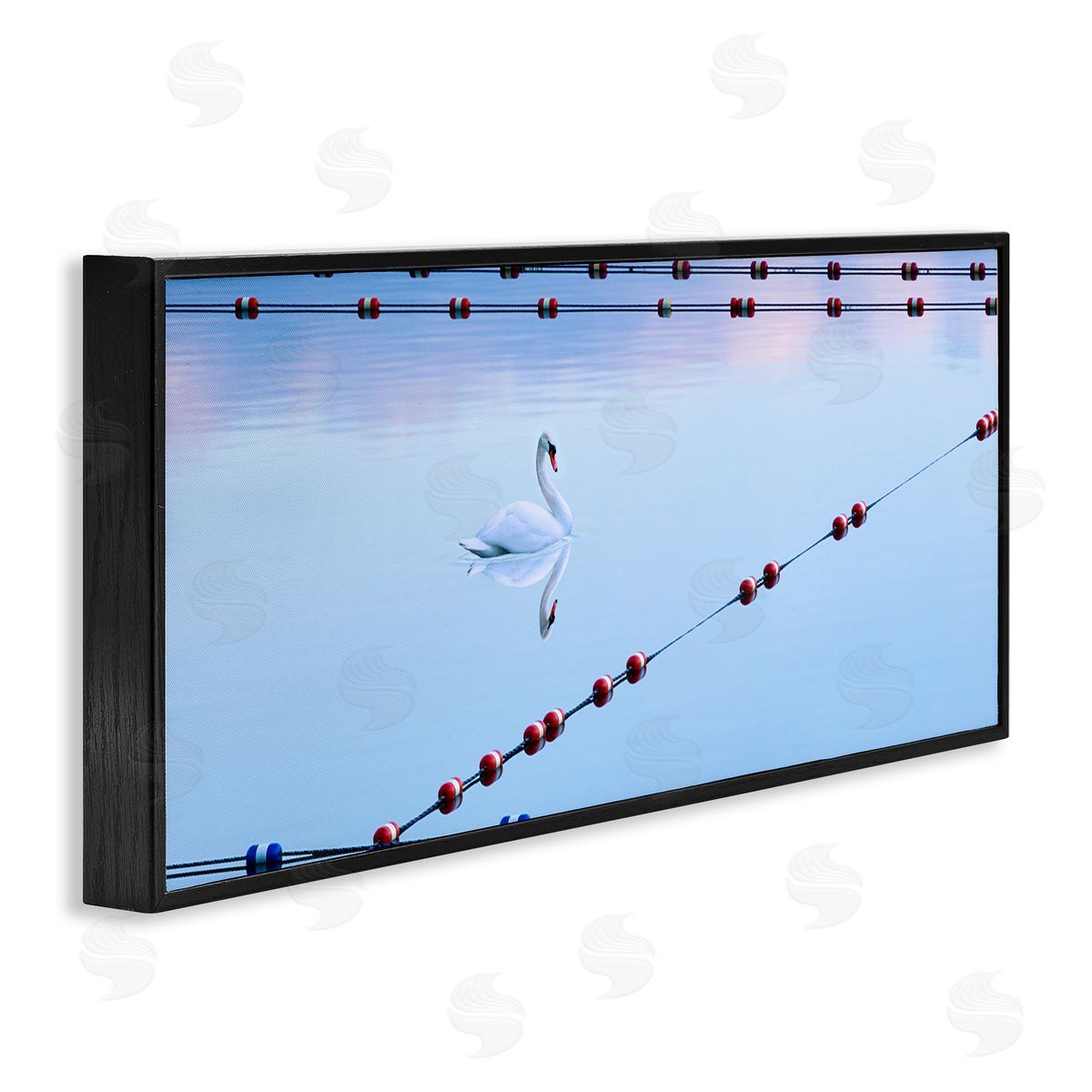Swan Between Lake Buoys Black Frame Print Wall Art, Home Decor by James McLoughlin