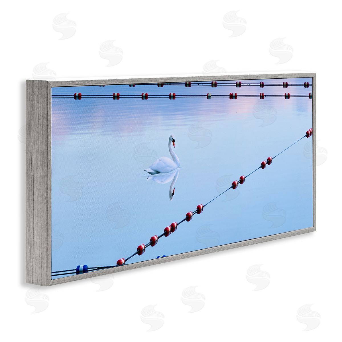Swan Between Lake Buoys Grey Frame Print Wall Art, Home Decor by James McLoughlin