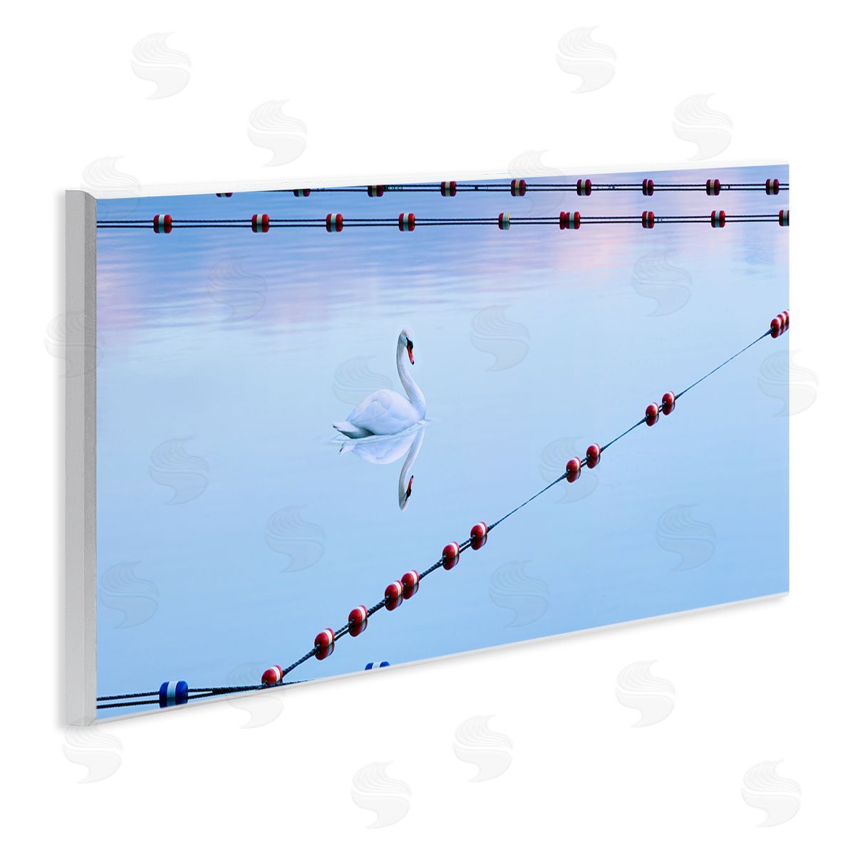 Swan Between Lake Buoys Wood Plaque Wall Art, Home Decor by James McLoughlin
