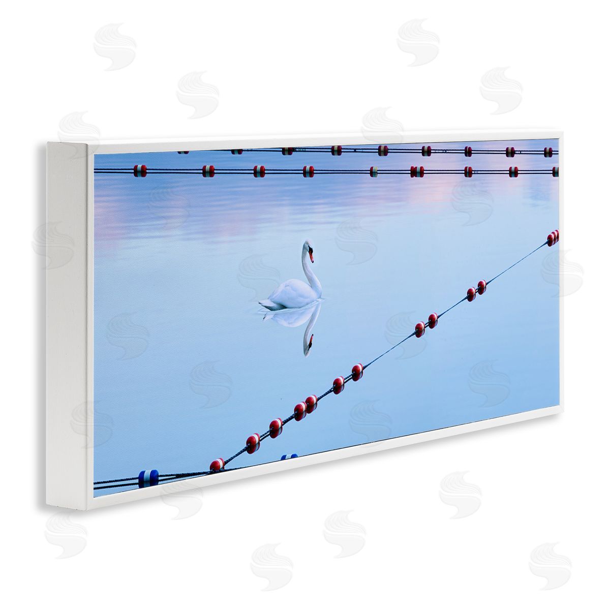 Swan Between Lake Buoys White Frame Print Wall Art, Home Decor by James McLoughlin