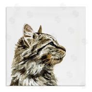 Victoria Barnes | Simple Tabby Cat Gaze