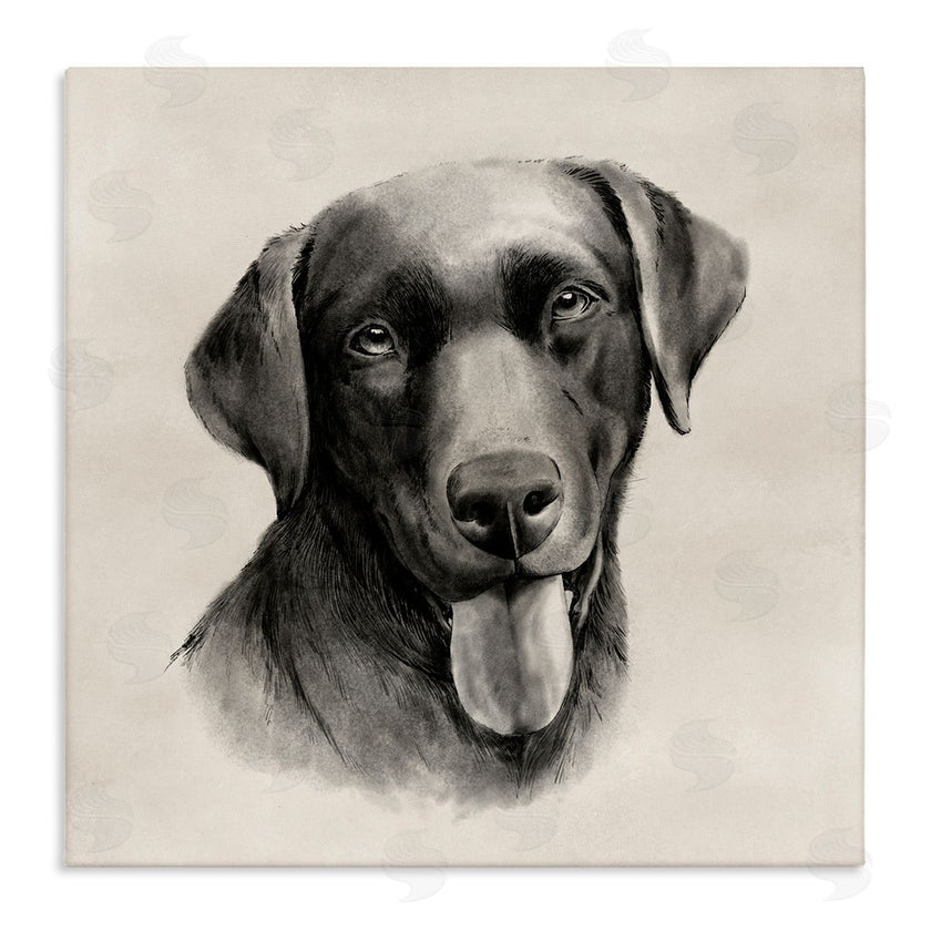Grace Popp | Sepia Labrador Dog Portrait