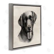 Grace Popp | Sepia Labrador Dog Portrait