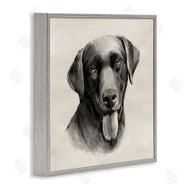 Grace Popp | Sepia Labrador Dog Portrait