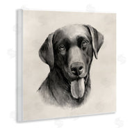 Grace Popp | Sepia Labrador Dog Portrait