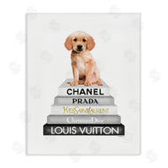 Amanda Greenwood | Puppy Dog Grey Fashion Books