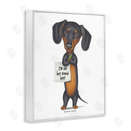 Danny Gordan | Funny Dachshund Boss