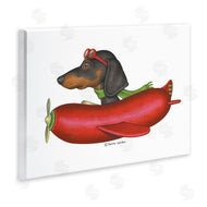 Danny Gordan | Dachshund Flying in Weenie Plane