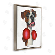 Danny Gordan | Boxing Boxer Dog