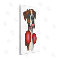Danny Gordan | Boxing Boxer Dog
