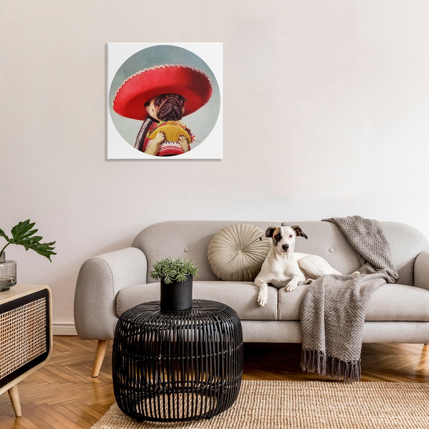 Pug in Sombrero with Taco Canvas Wall Art in Room, Home Decor by Lucia Heffernan