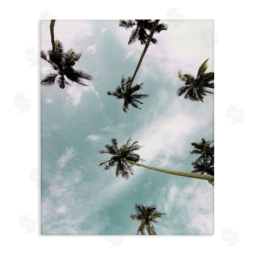 Kim Allen | Sky Through Palm Trees