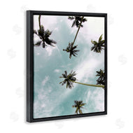 Kim Allen | Sky Through Palm Trees