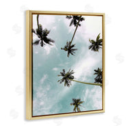 Kim Allen | Sky Through Palm Trees