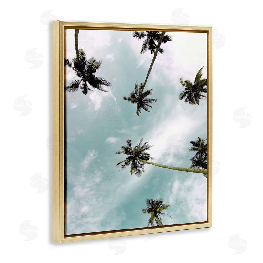 Kim Allen | Sky Through Palm Trees