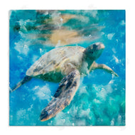 Kim Allen | Underwater Sea Turtle