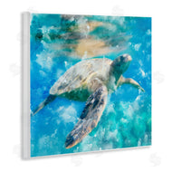 Kim Allen | Underwater Sea Turtle