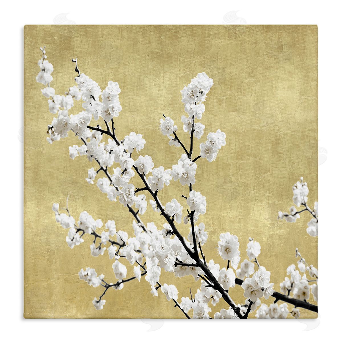 Cherry Blossom Branches Canvas Wall Art, Home Decor by Kate Bennett