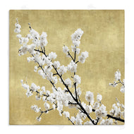 Kate Bennett | Cherry Blossom Branches