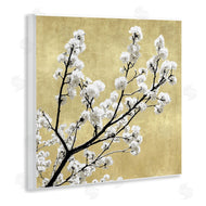 Kate Bennett | Top of Cherry Blossom