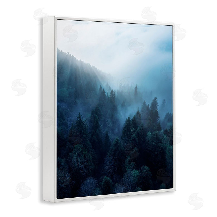 Unsplash | Daylight over Pine Forest