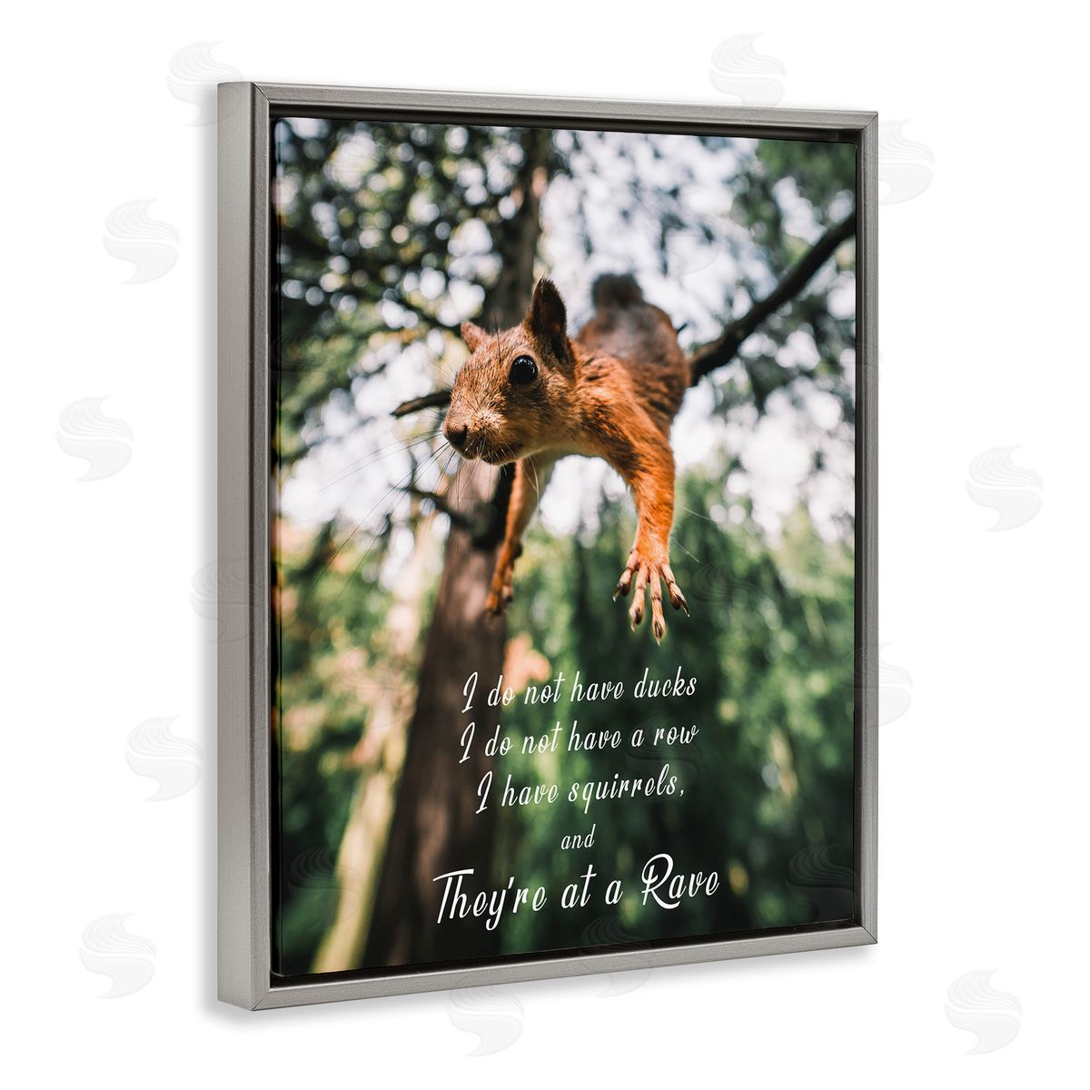 Squirrels at a Rave Funny Grey Floating Frame Canvas Wall Art, Home Decor by Ziwei Li