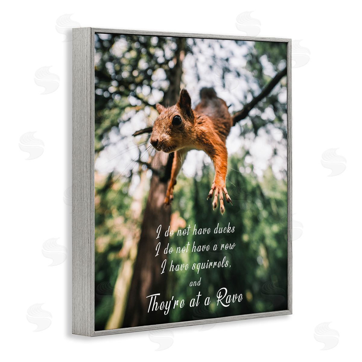 Squirrels at a Rave Funny Grey Frame Print Wall Art, Home Decor by Ziwei Li