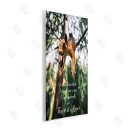 Ziwei Li | Squirrels at a Rave Funny