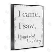 Stupell Studio | I Came, I Saw, I Forgot