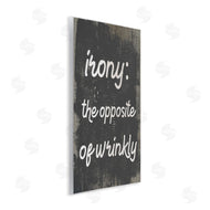 Stupell Studio | Irony Definition Funny Laundry