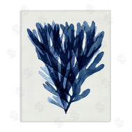 Stellar Studio | Nautical Blue Sea Kelp