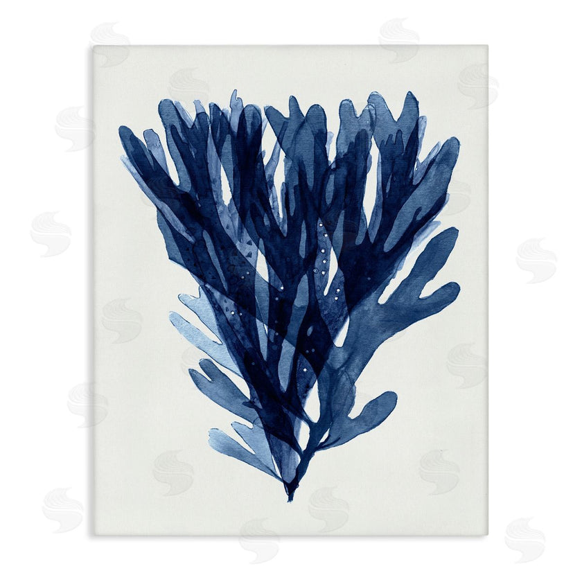 Stellar Studio | Nautical Blue Sea Kelp