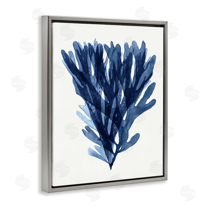 Stellar Studio | Nautical Blue Sea Kelp