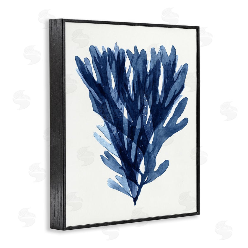Stellar Studio | Nautical Blue Sea Kelp