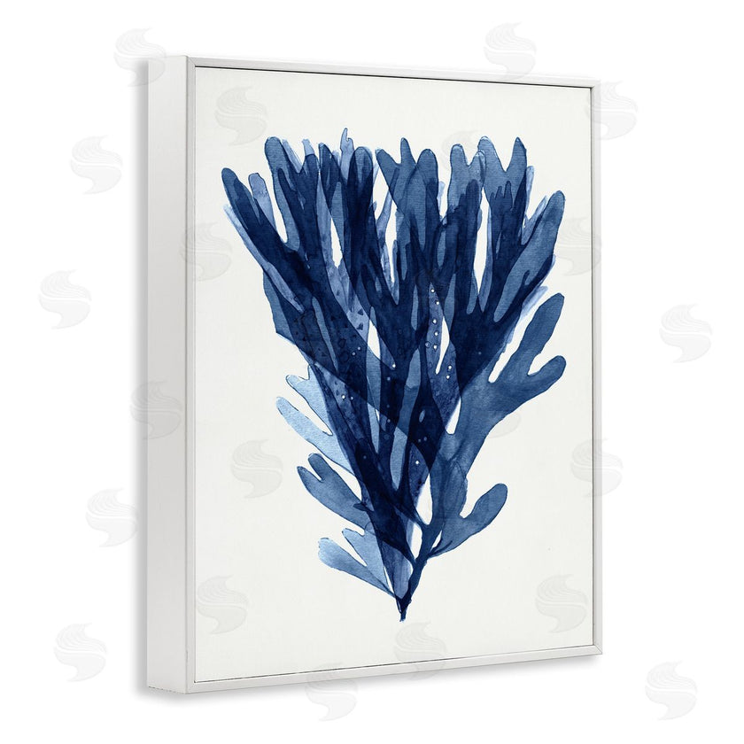 Stellar Studio | Nautical Blue Sea Kelp
