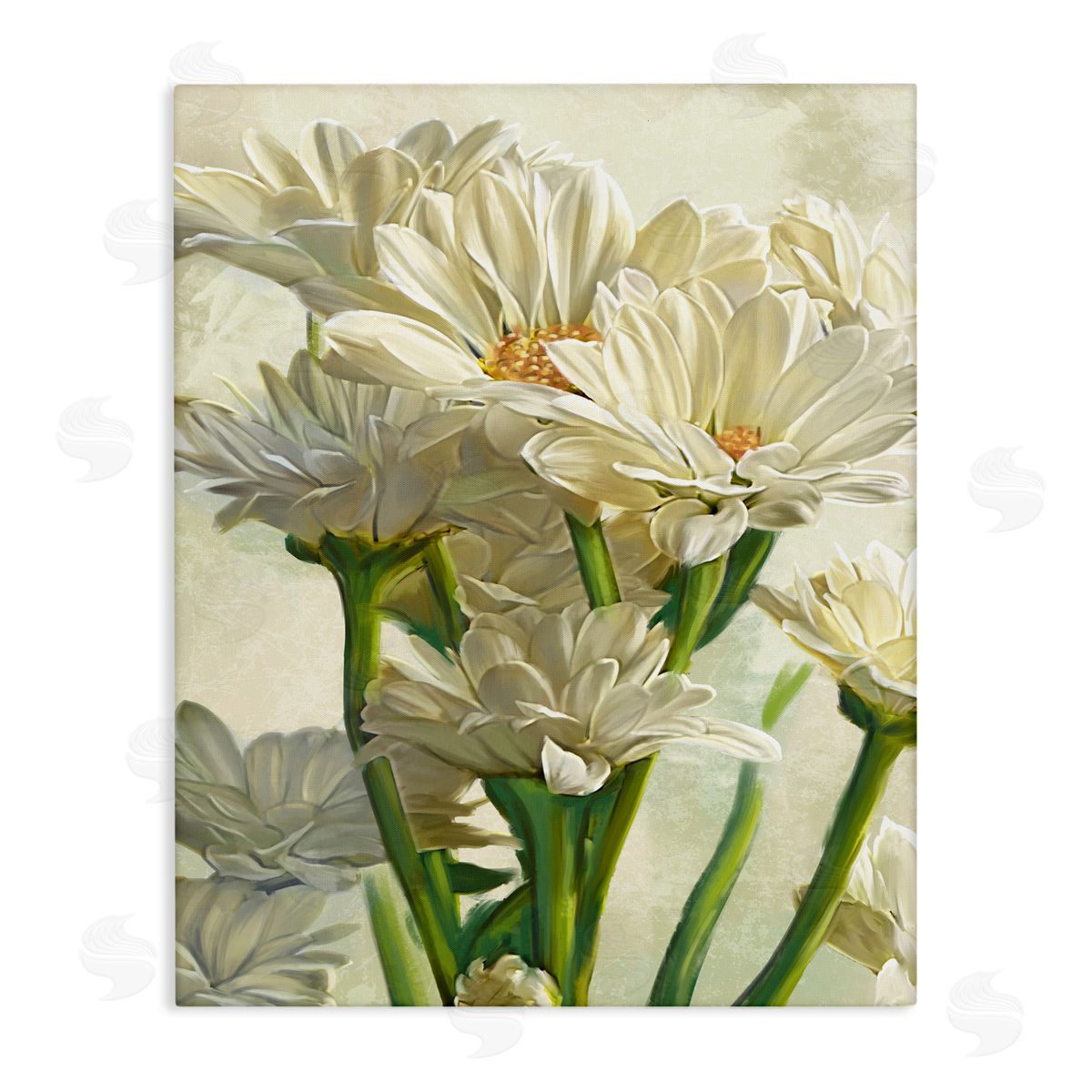 White Daisy Spring Florals Canvas Wall Art, Home Decor by Ziwei Li
