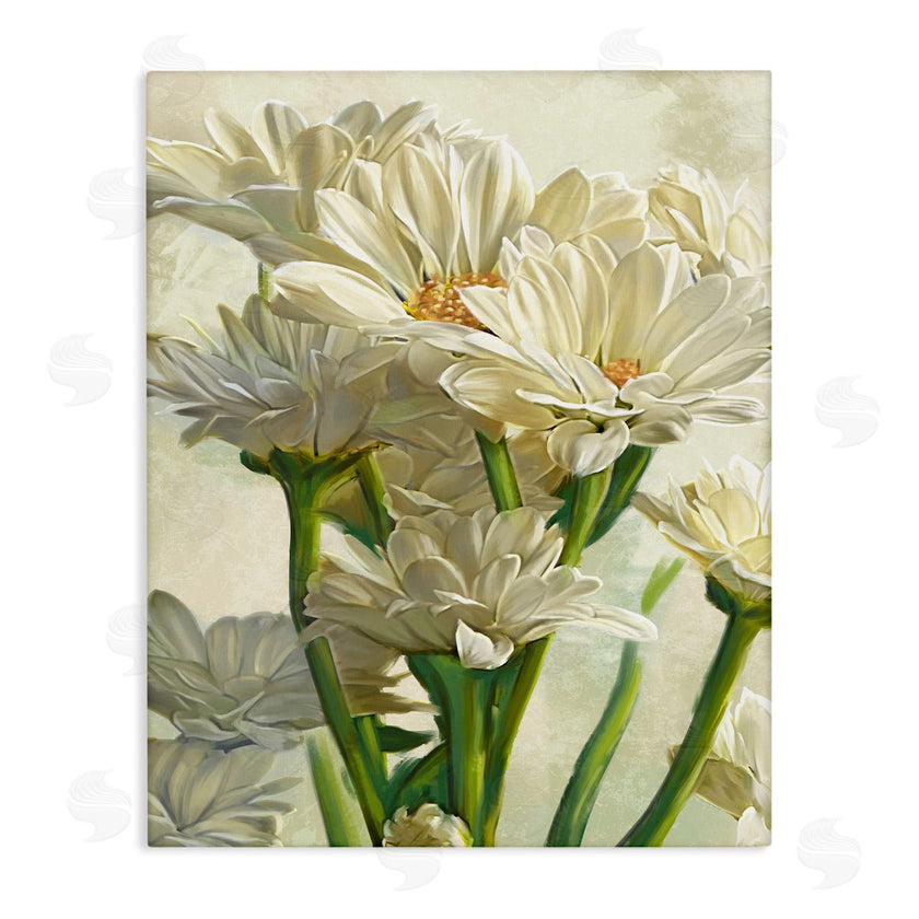 Ziwei Li | White Daisy Spring Florals