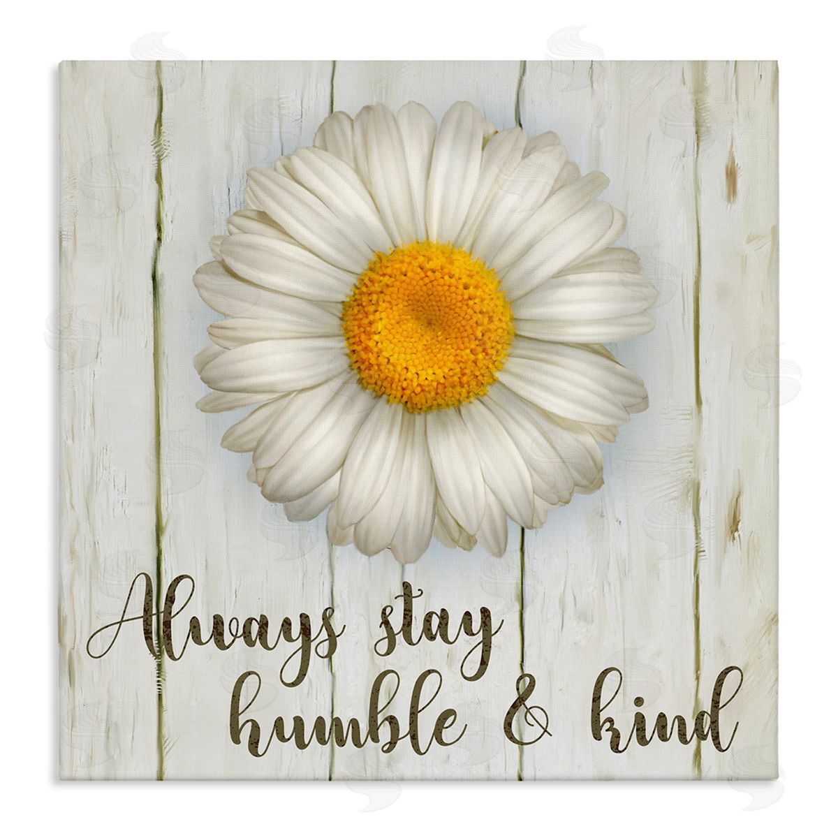 Always Stay Humble Daisy Canvas Wall Art, Home Decor by Ziwei Li