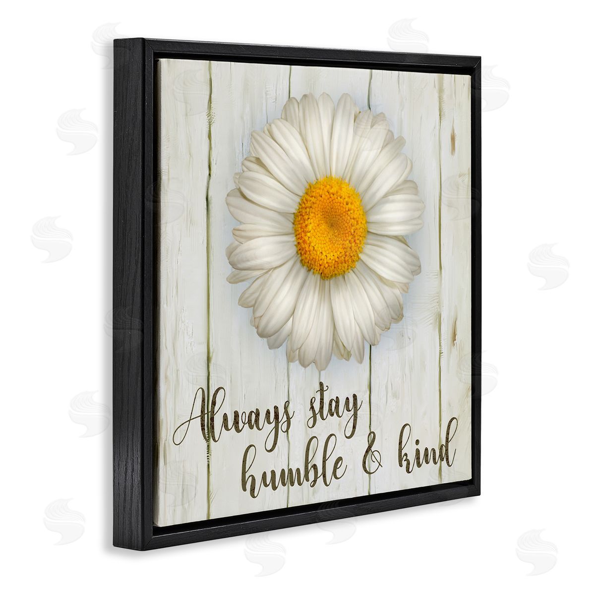 Always Stay Humble Daisy Black Floating Frame Canvas Wall Art, Home Decor by Ziwei Li